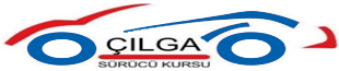 Çılga Sürücü Kursu